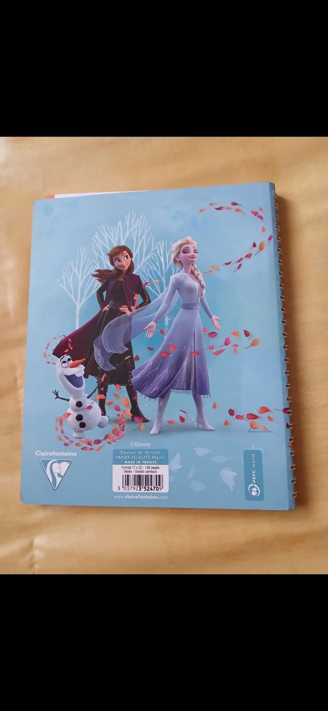 Cuaderno de texto para niña La Reina de las Nieves Disney – photo 3